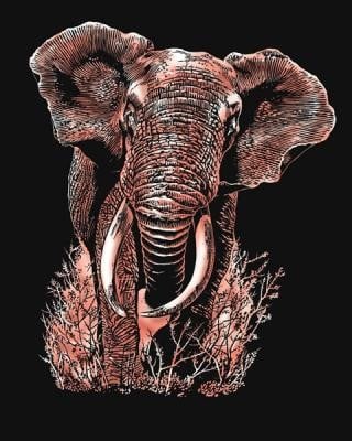 Artfoil Copper - Elephant | Harleys - The Educational Super Store