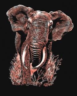 Artfoil Copper - Elephant 5013634005391