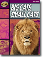 Big Cats Small Cats Level 1 Set A Rapid 9780731242160