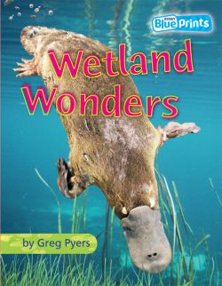 Blueprints Middle Primary B Unit 4: Wetland Wonders | Harleys - The ...