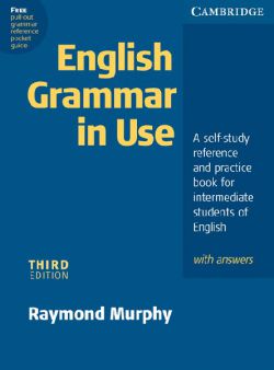 English Grammar In Use With Answers 2Ed 9780521532891