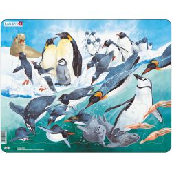 Penguin Jigsaw Puzzle 50pc 7023850211078