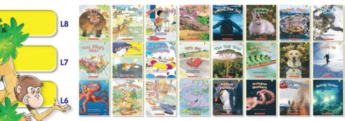 KEY LINKS YELLOW SET 1, 2 &amp; 3 - COMPLETE GUIDED READING MULTIPACK (24 TITLES X 6 COPIES + TTB) - RR 6-8 2770009256309