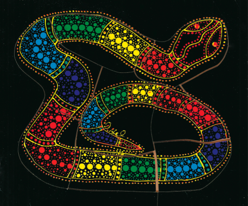 Rainbow Serpent Puzzle 2770009234789