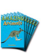 Rigby Literacy Early Level: Amazing Animals (Small Book Pack) (Pack of 6) 9780731226733