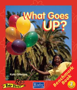 Rigby Literacy Emergent Level 2: What Goes Up?/The Play - Benchmark Book 9780731225491