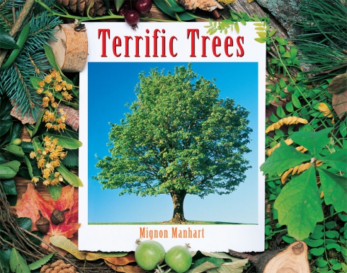 Rigby Literacy Fluent Level 1: Terrific Trees 9780731226986