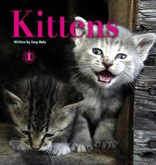 Literacy Tower - Level 2 - Non-Fiction - Kittens - Single 9781776500116