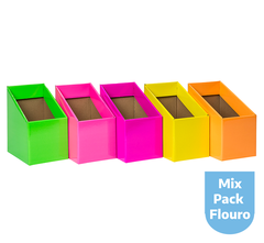 BOOK BOX PK 5 ASST FLURO MIX GRN PNK MGTA YLW OGE 170W X250D X 280H X 170HF 653341531827